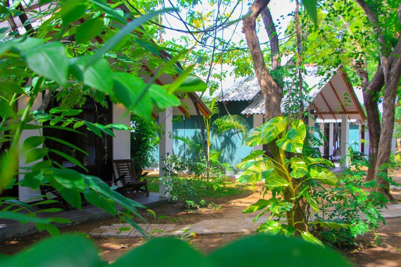 Palmyra Nature Resort Sigiriya Dış mekan fotoğraf